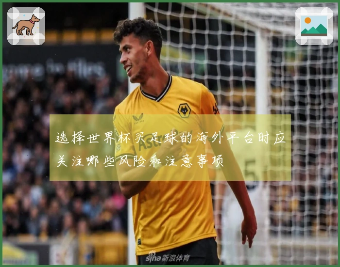 选择世界杯买足球的海外平台时应关注哪些风险和注意事项