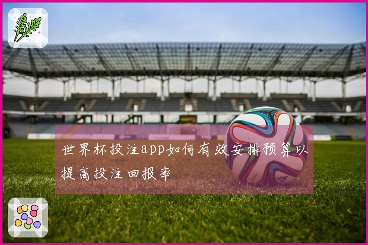 世界杯投注app如何有效安排预算以提高投注回报率