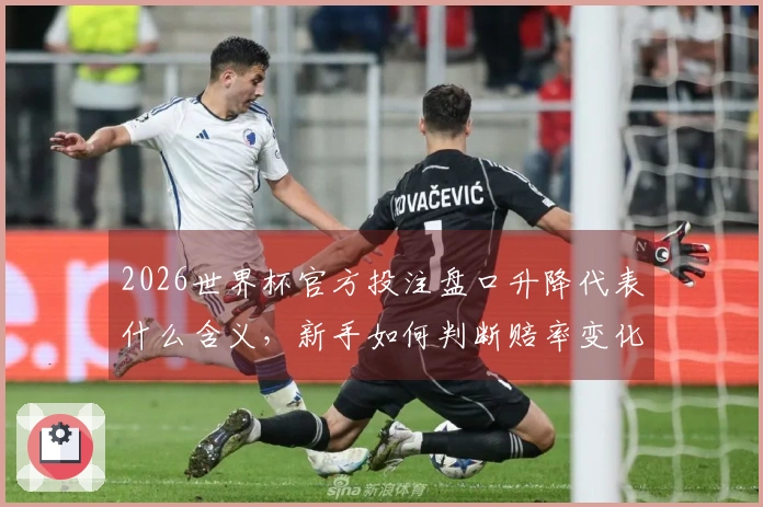 2026世界杯官方投注盘口升降代表什么含义，新手如何判断赔率变化