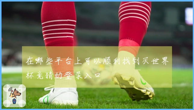 在哪些平台上可以顺利找到买世界杯竞猜的登录入口
