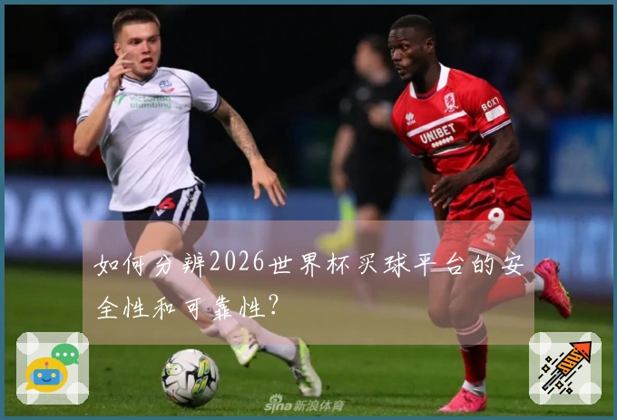 如何分辨2026世界杯买球平台的安全性和可靠性？