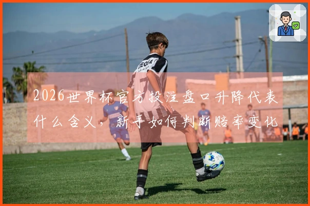 2026世界杯官方投注盘口升降代表什么含义，新手如何判断赔率变化